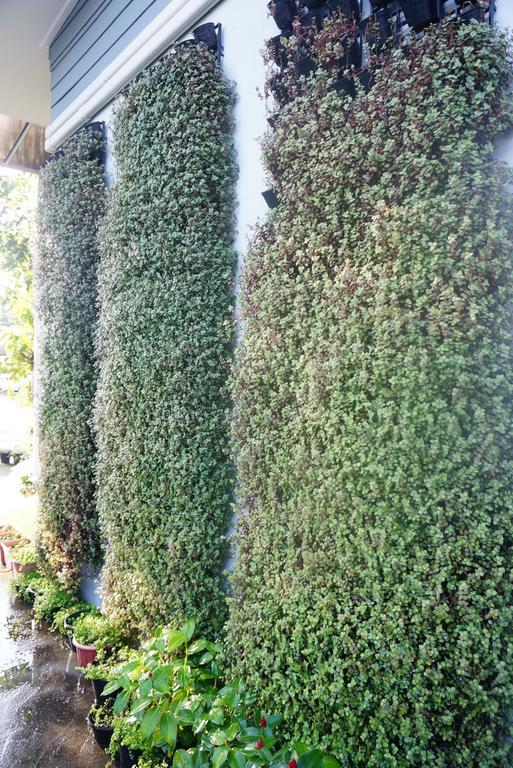 The Rhea Hotel Udon Thani Exterior photo